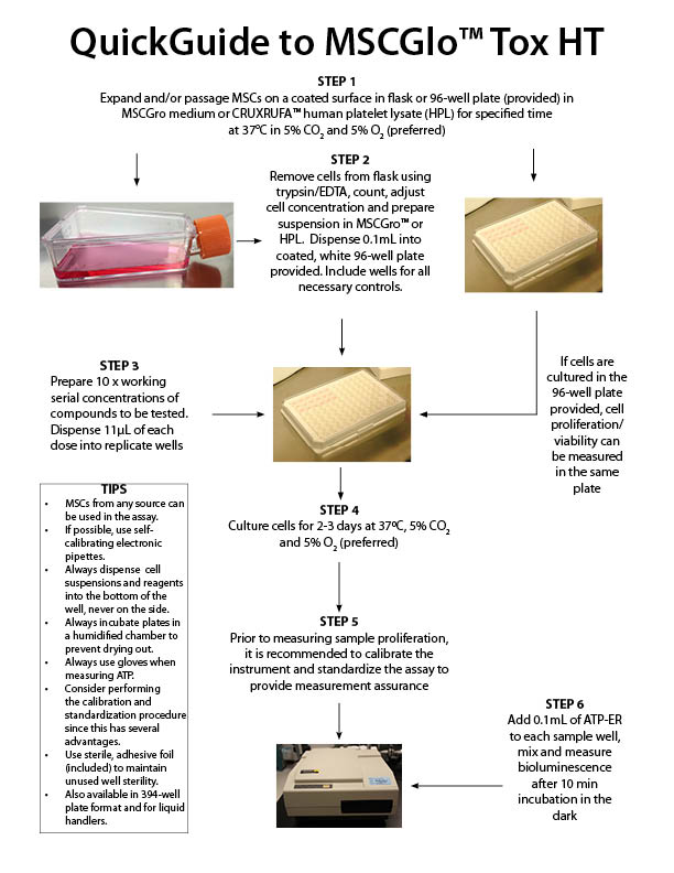 A complete and standardized bioluminescence toxicity assay platform for cells of the mesenchymal cell system.